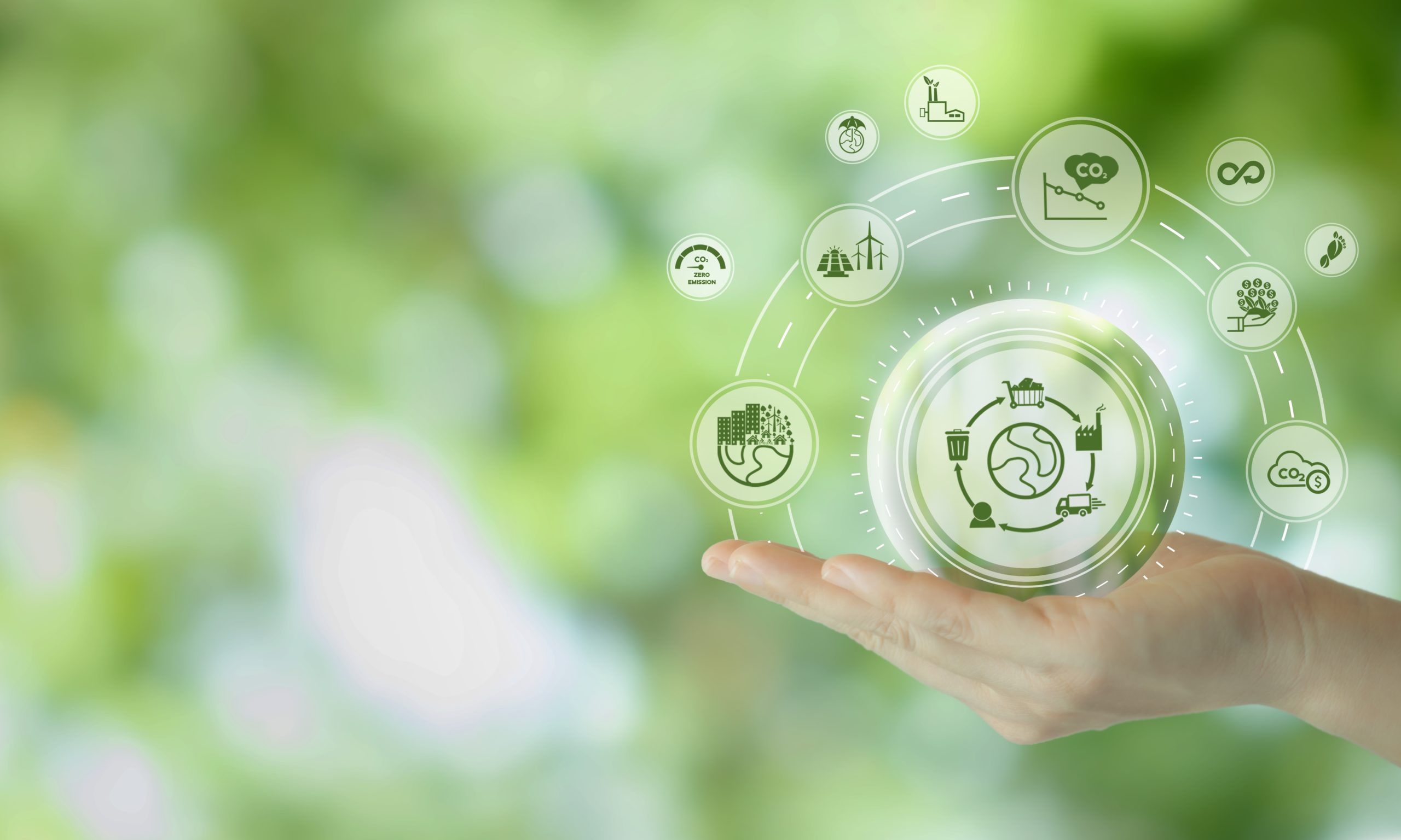 neo-ecology-sustainable-supply-chain
