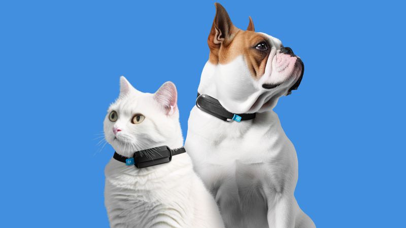 Minitails Smart Pet Tracker by Invoxia, as showcased at CES Tech 2024