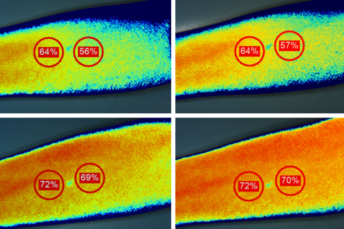 Heat map showing percentage readings on a close-up of four biological surfaces.